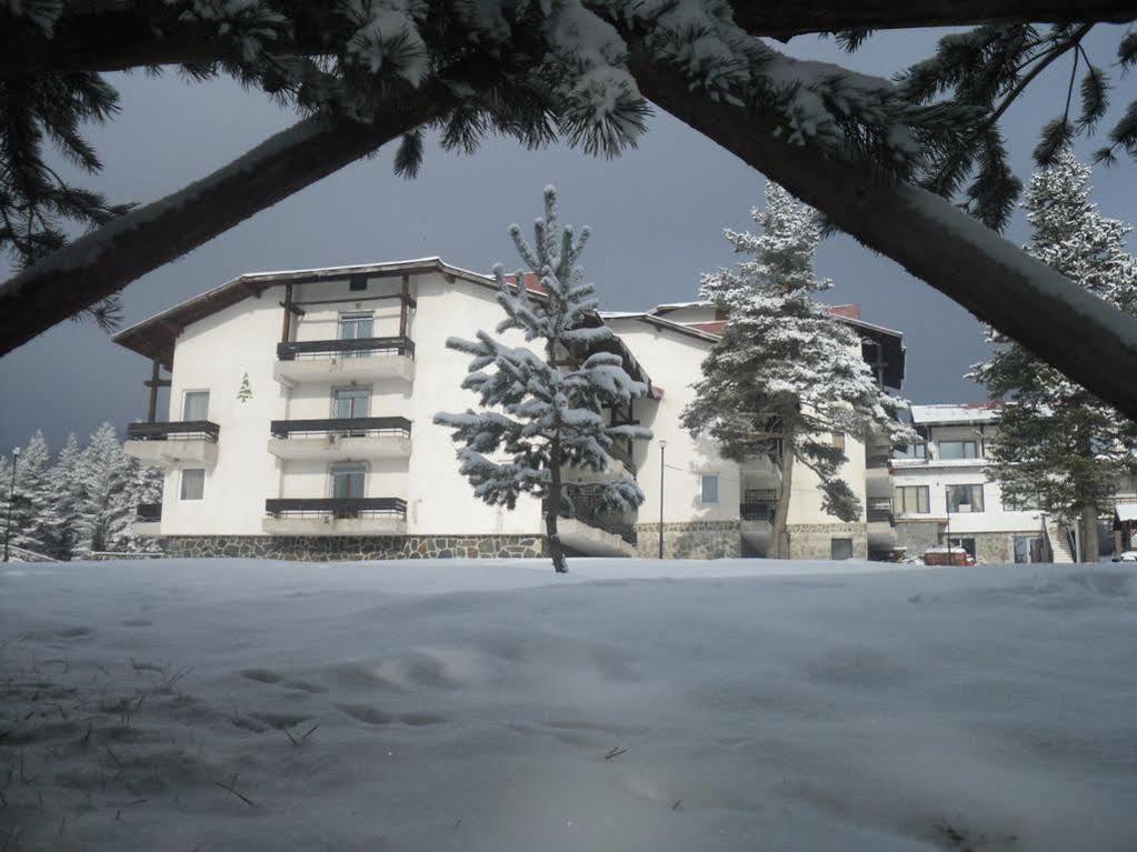 Bor Hotel Belitsa  Exterior photo