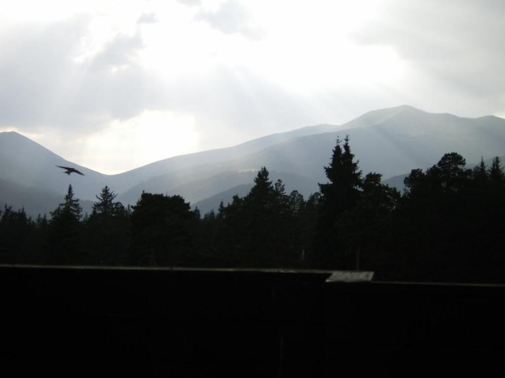 Bor Hotel Belitsa  Room photo